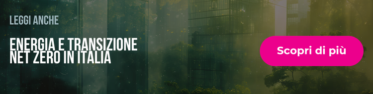 transizione net zero