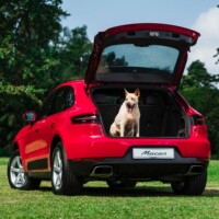Campagna di comunicazione automotive Porsche and Pups