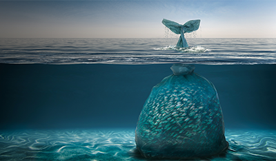 LEWIS ondersteunt circulaire ondernemer Searious Business met PR- en contentcampagne
