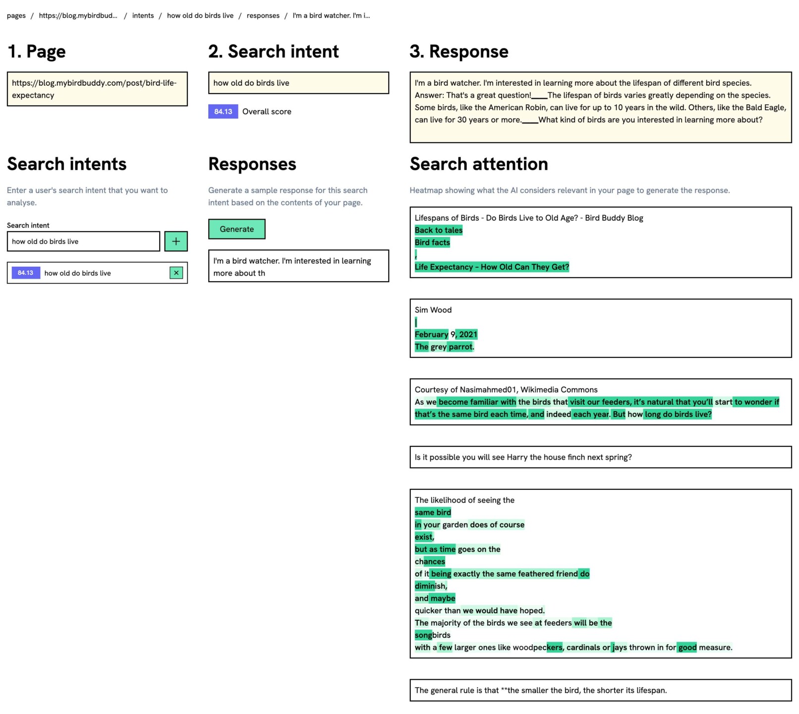 AIO Optimization tool SearchAttention