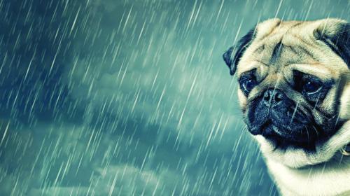 B2B PR: the misery problem