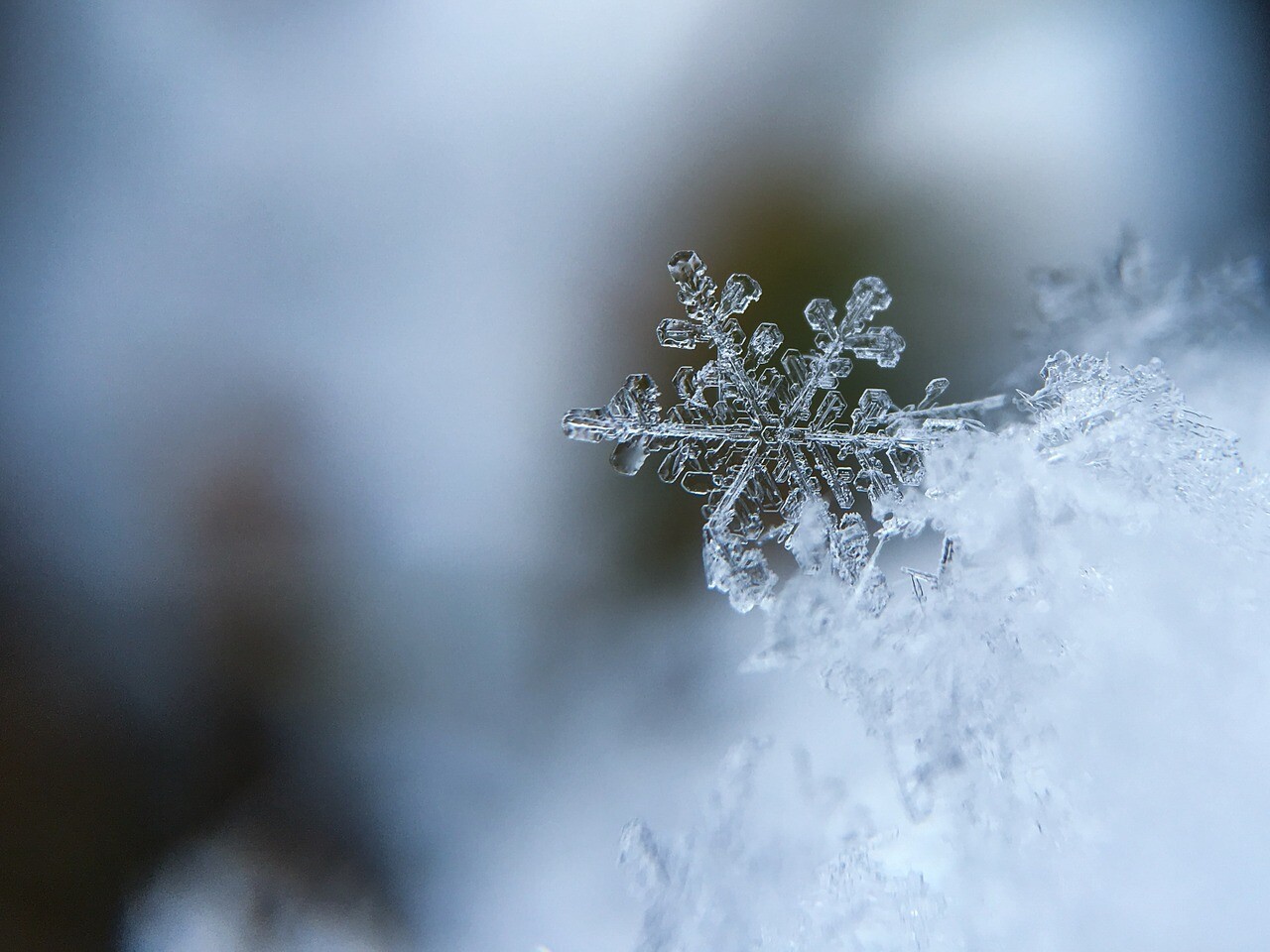 british-army-snowflake-campaign