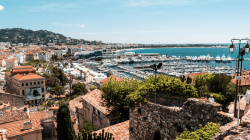 What I Learned in Cannes