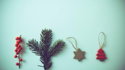 THIS WEEK IN SOCIAL: ALL I WANT FOR CHRISTMAS IS EDGAR