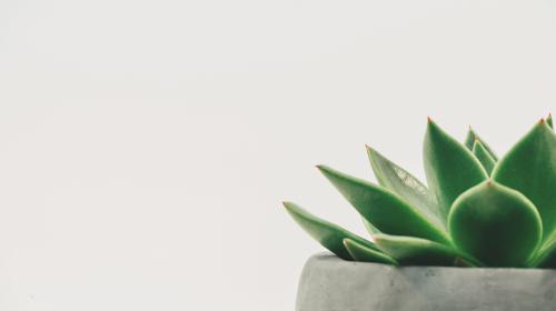Event Summary: Growth marketing