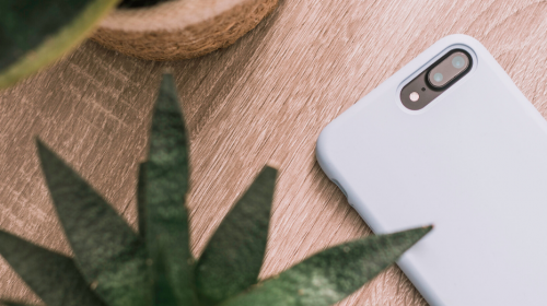 What’s the deal with… consumers online right now?
