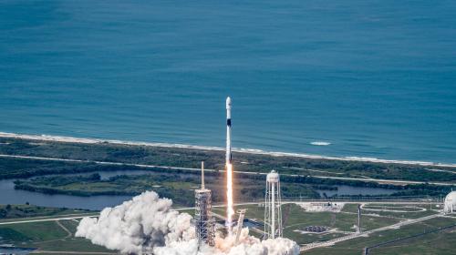 To launch or not to launch during COVID-19