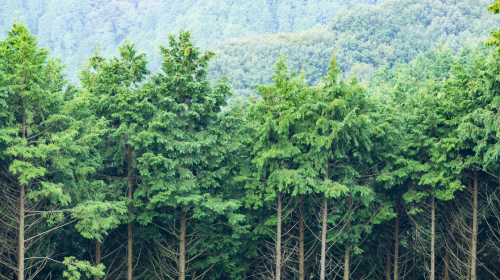 This Week In Social: Google Maps Go Green