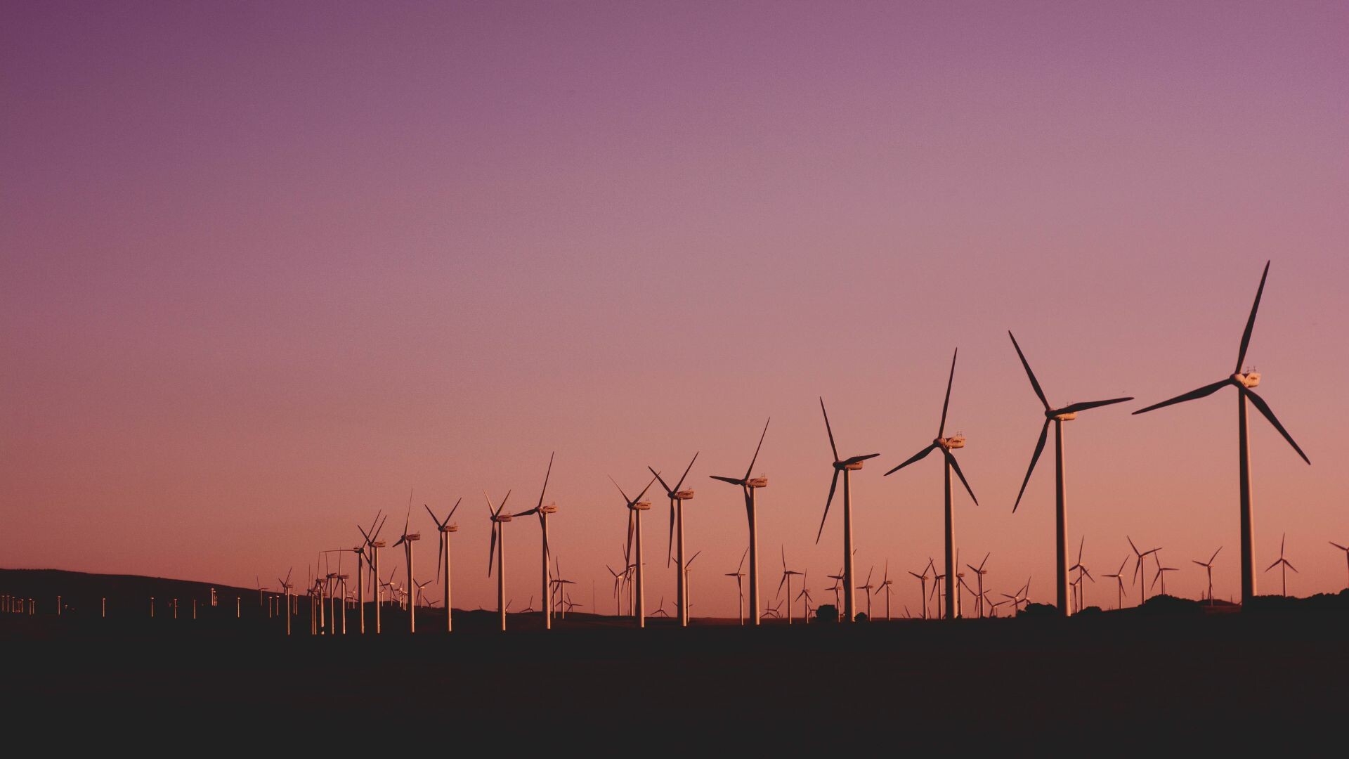 Sunset with outline of wind turbines.