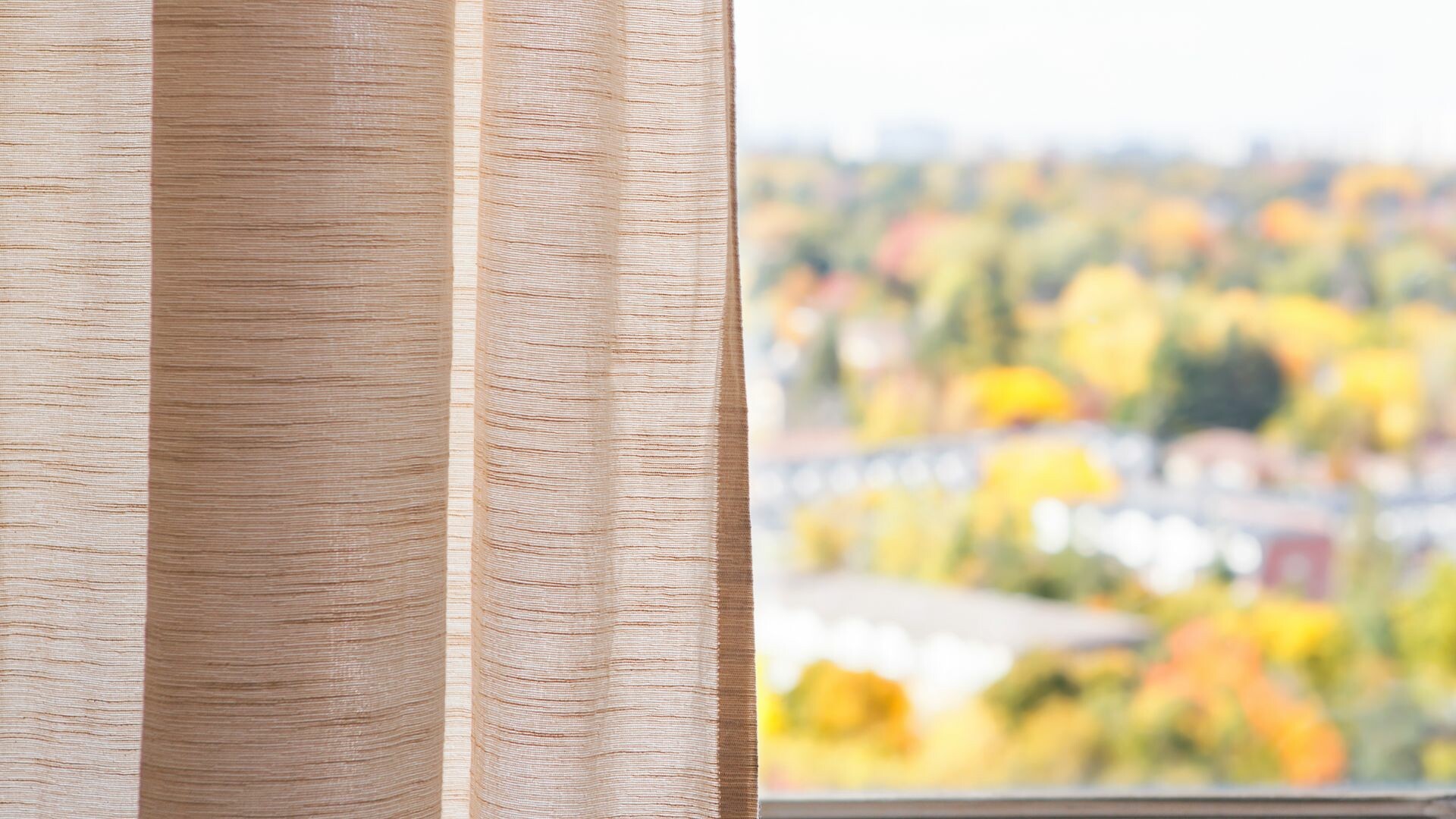 View of landscape from a window.