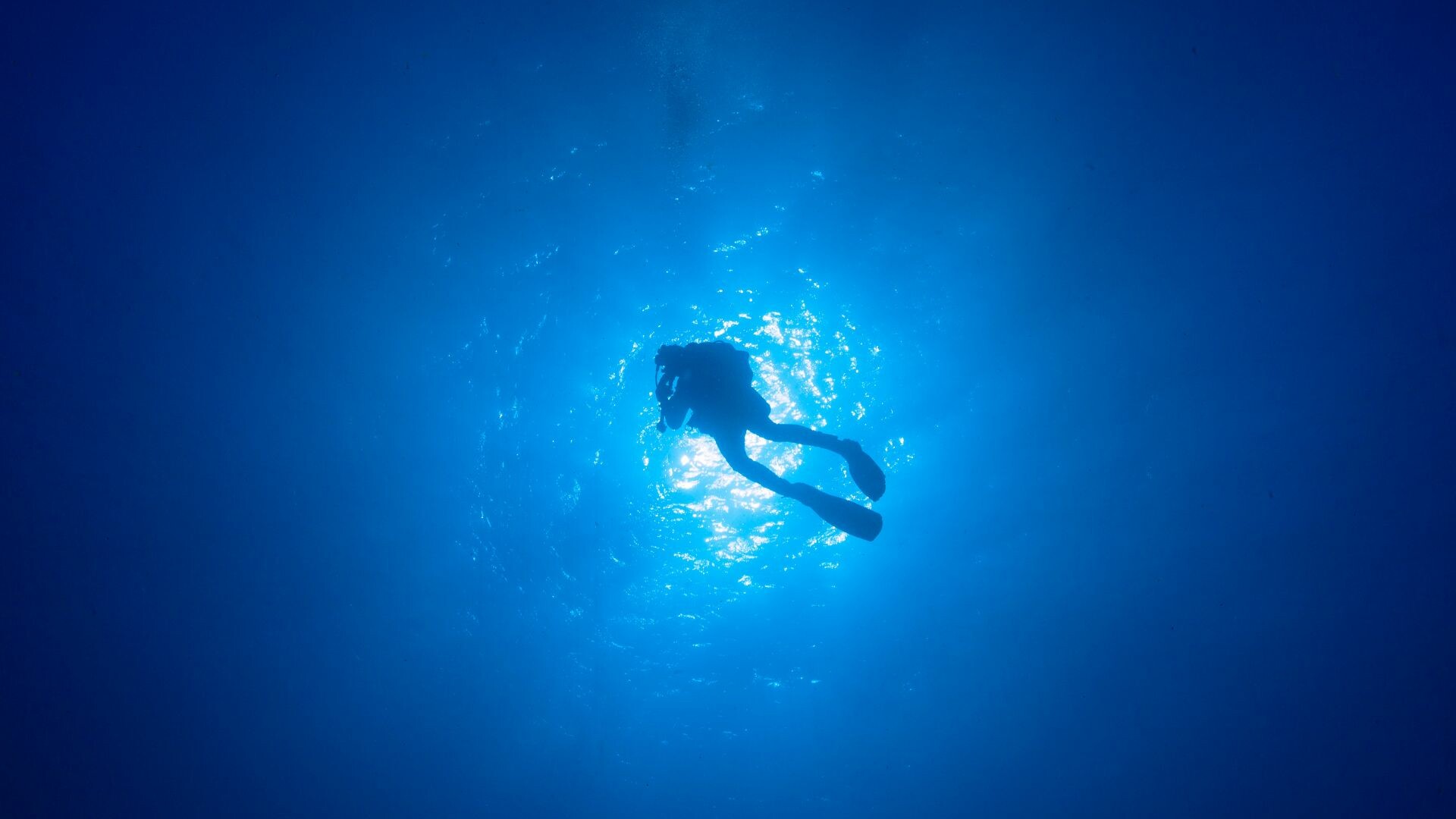 Sky shot of a suba diver underwater.