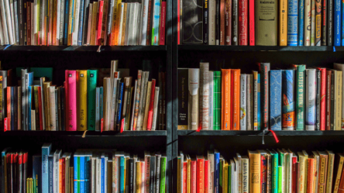 How to Claim Expertise in a Fast-Paced Sector