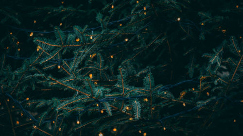 Pitching Holiday Gift Guides