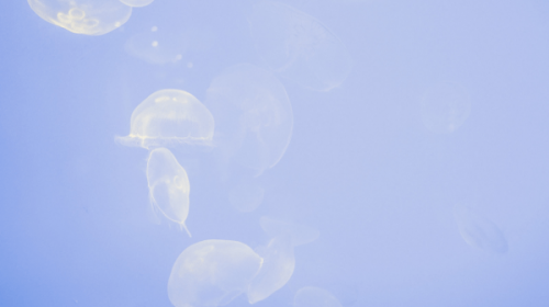 Analytics Versus Instinct in PR