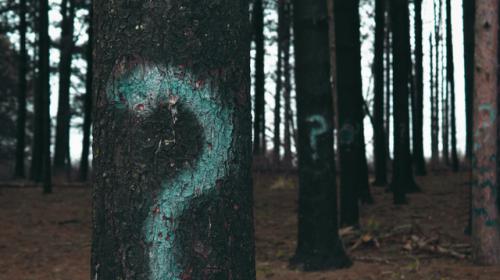To Adwords or Not to Adwords?