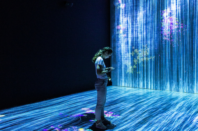 Woman with a phone standing in a light exhibit with blue and purple lights from the wall to the floor