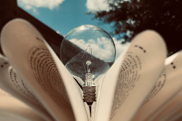 lightbulb in book building questionnaire