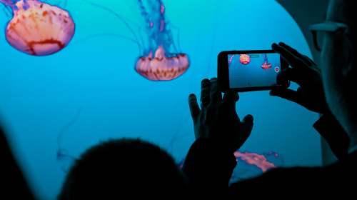 The Ultimate Social Media Video Guide