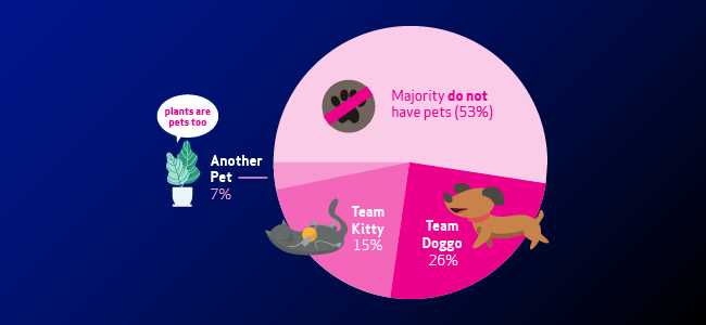 Pie chart of dog, cat and plant owners