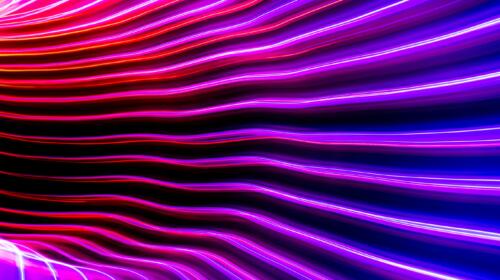 Going With Your Gut: The Age of Intuitive Marketing