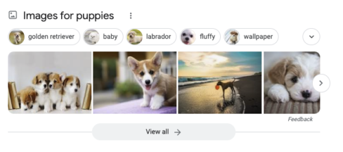 Google Featured Snippet Image Pack Example