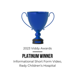 2023 Viddy awards Award Winning Digital Marketing Agency